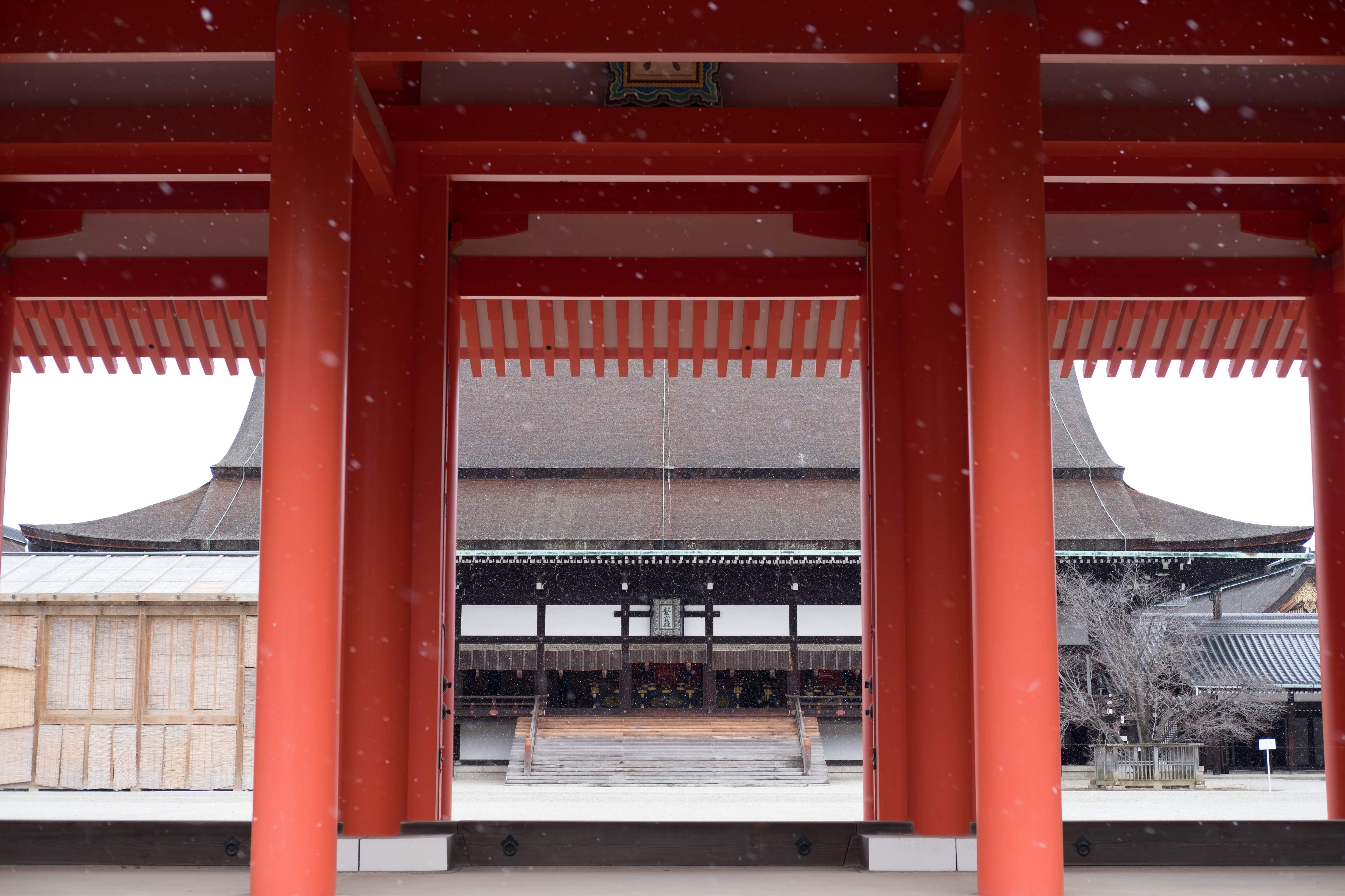 kyoto 御所 紫宸殿